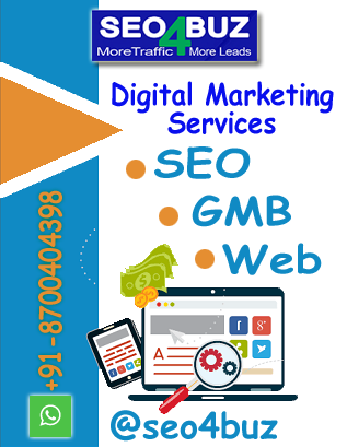 Seo4buz Digital Marketing Services in India